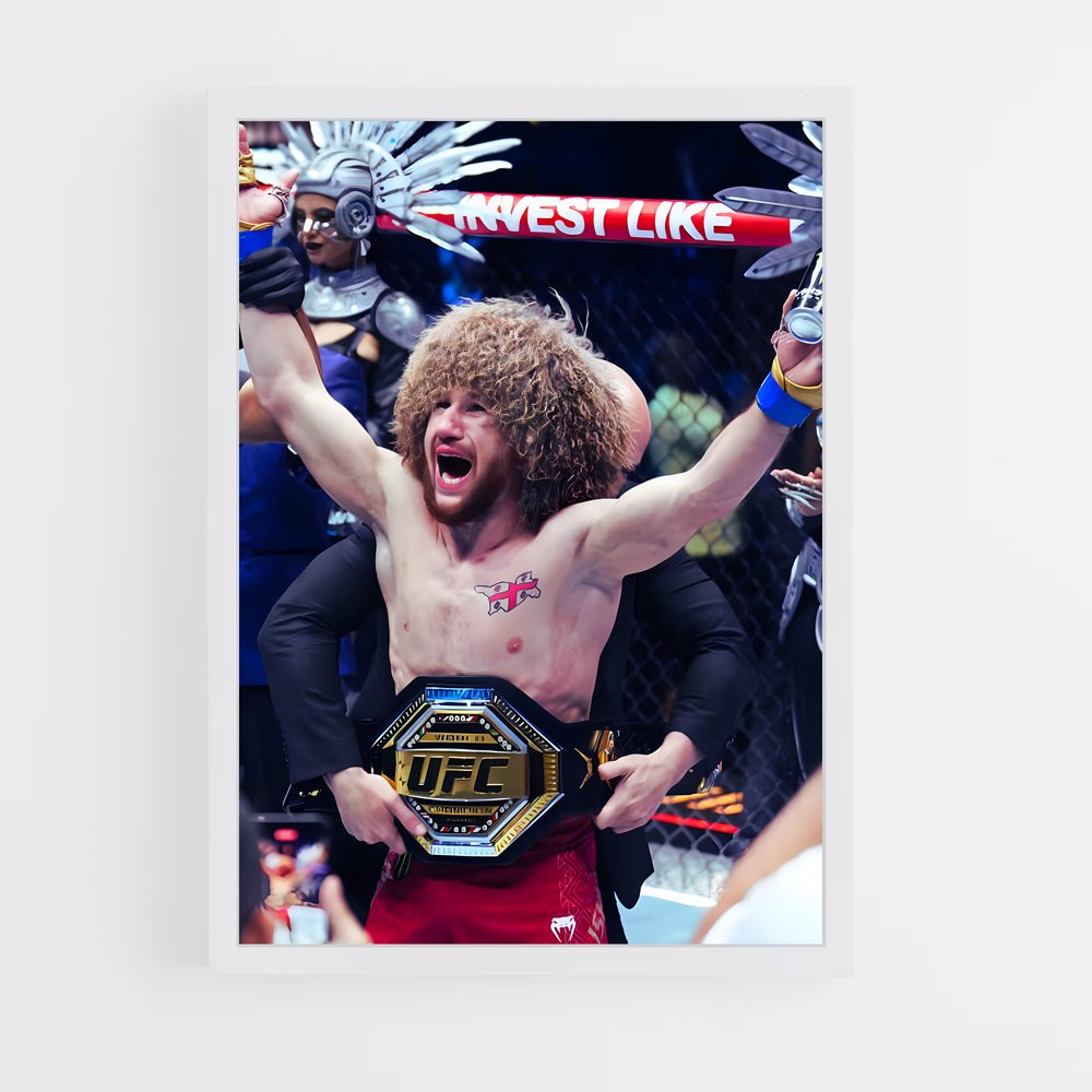 Poster Merab dvalishvili – affiche MMA (vue 3)